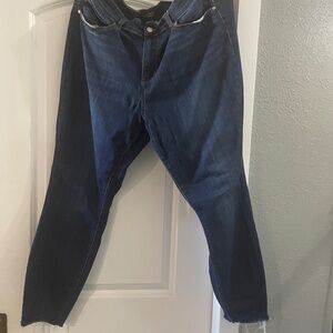 Judy Blue Jeans 20w